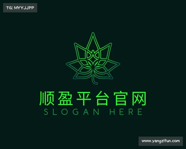 关于顺盈平台登陆注册